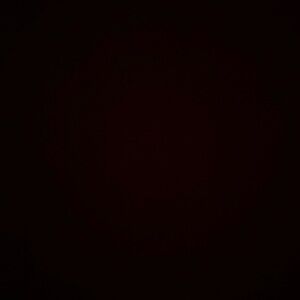 Meet your Posher, Peyton